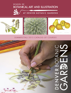Summer/Fall Botanical Illustration course catalog