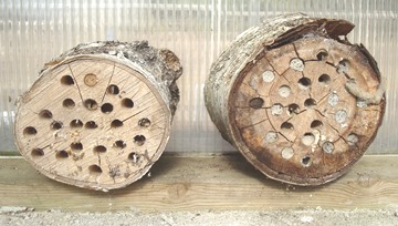 Logs designed as beneficial insect hotel