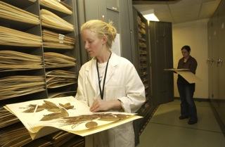 The new colleciton will be housed with the existing two herbaria, in its own case