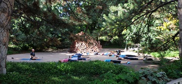Yoga practice in the Oak Grove