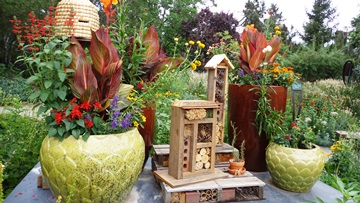 Beneficial Insect Hotel in Birds and Bees Garden