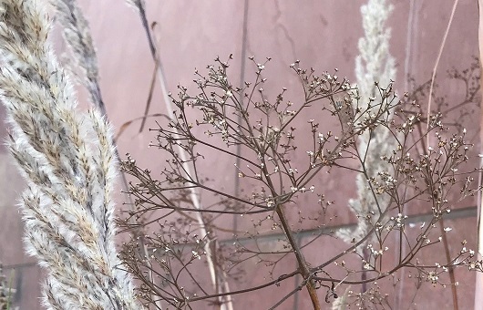 Pampas grass and Joe Pye weed mingle in container