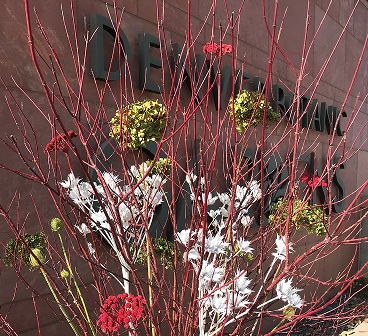 Bold flowers and bright twigs greet visitors at entrance