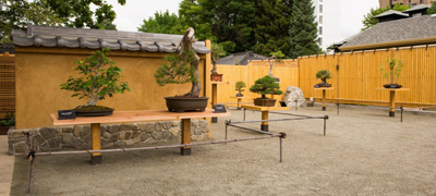 Bill Hosokawa Bonsai Pavilion at Denver Botanic Gardens
