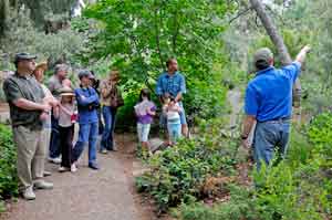 Photo courtesy of Denver Botanic Gardens staff