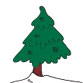 Evergreen tree