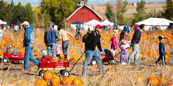 2016 Denver Pumpkin Festival