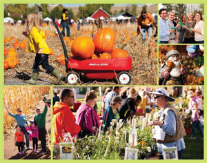 Special Events at Denver Botanic Gardens