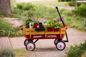 Spring Plant Sale wagon