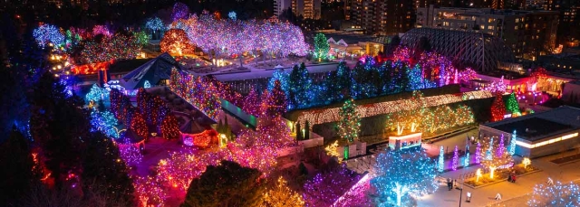 Many colored lights during Blossoms of Light event. Image taken by a drone camera.