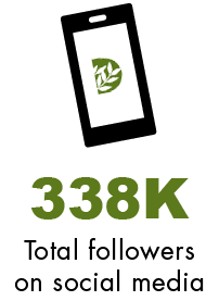 338K Total followers on social medi