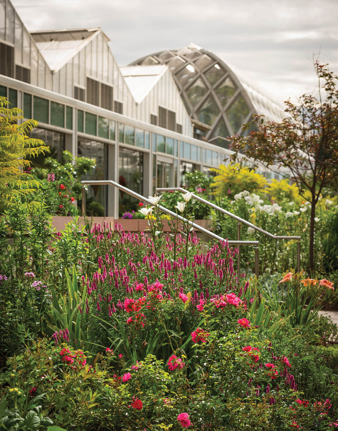 summer morning le potager kids bees