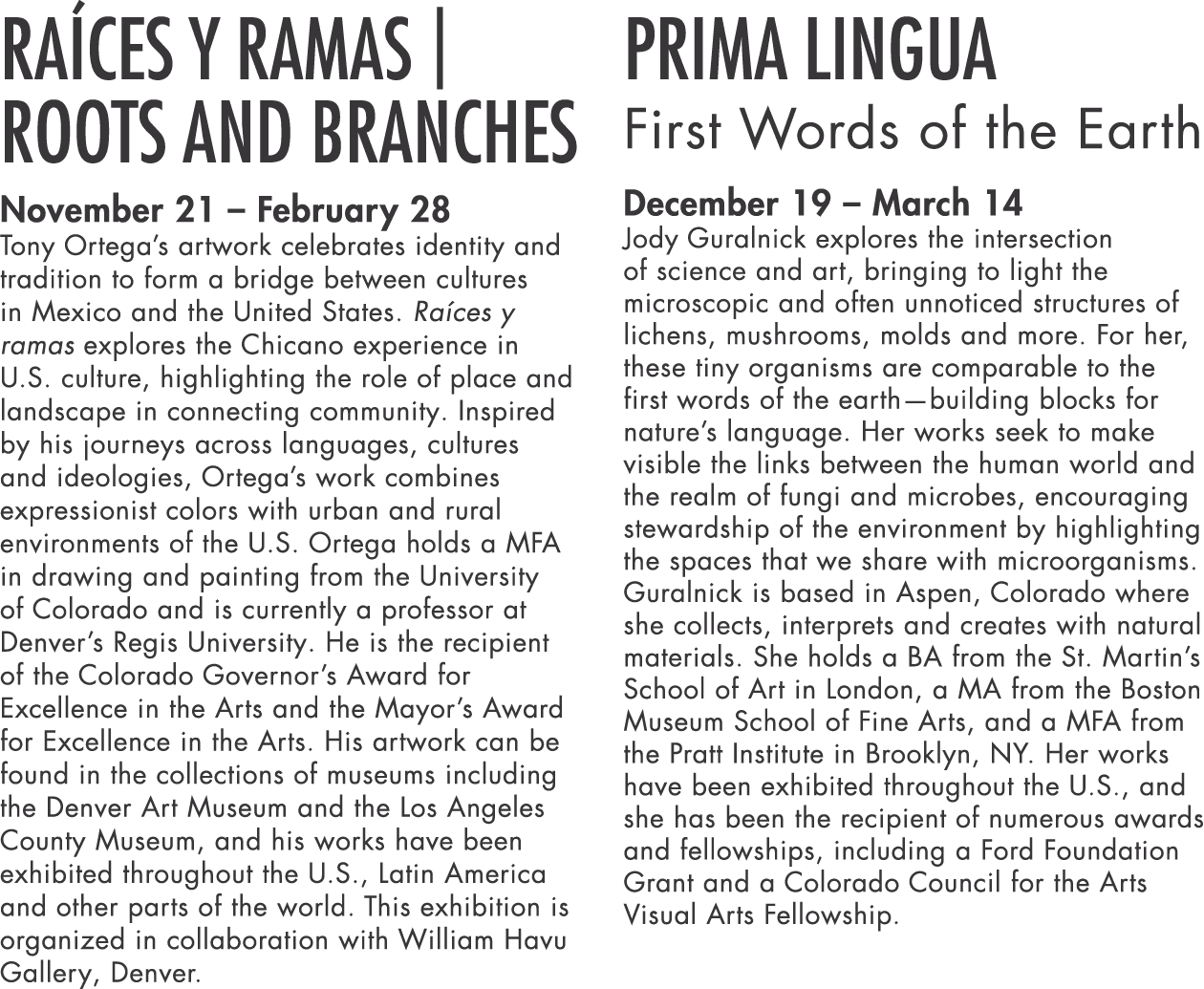 Ra ces y ramas   Roots and Branches November 21   February 28 Tony Ortega s artwork celebrates identity and tradition   