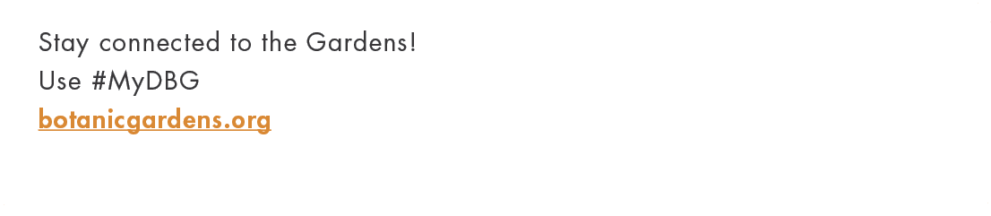 Stay connected to the Gardens  Use #MyDBG botanicgardens or