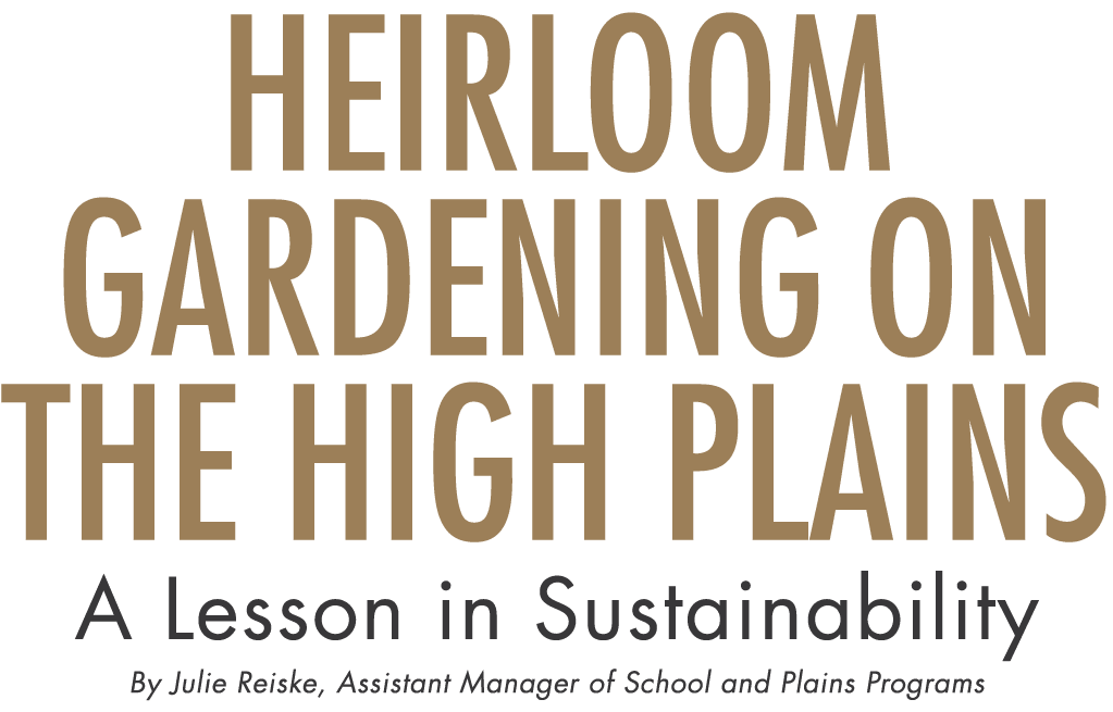 Heirloom Gardening on the High Plains A Lesson in Sustainability By Julie Reiske, Assistant Manager of School and Pla   