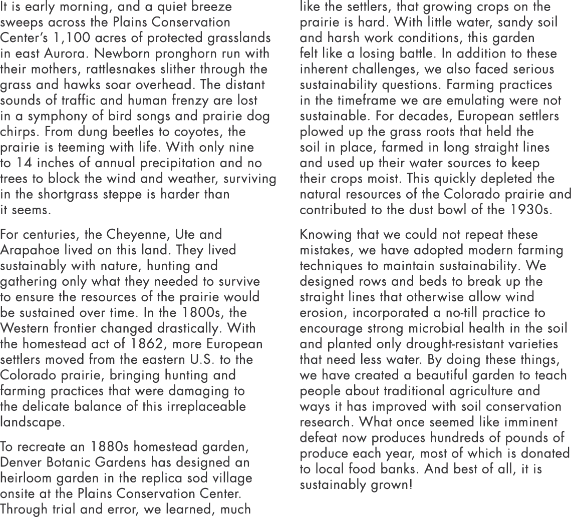 It is early morning, and a quiet breeze sweeps across the Plains Conservation Center s 1,100 acres of protected grass   