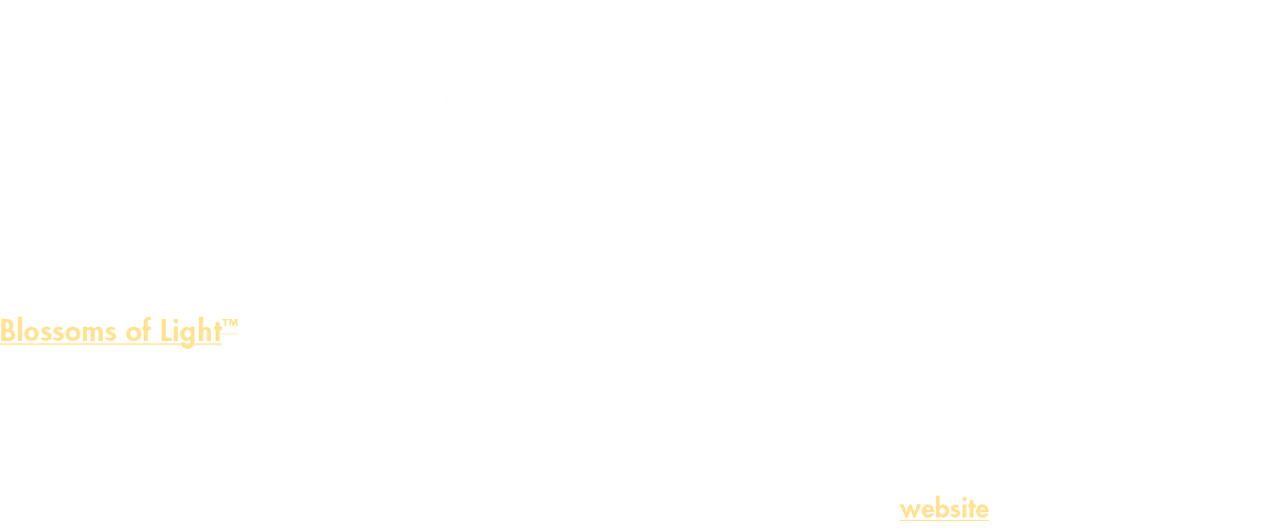  Blossoms of Light  Nightly, November 18   January 7 (Closed Nov  24 & Dec  25),  17- 24 Warm up your chilly winter n   