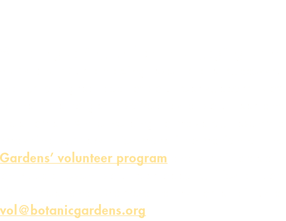 We are gearing up for an engaging event season  Our amazing events are successful thanks to a great deal of volunteer   