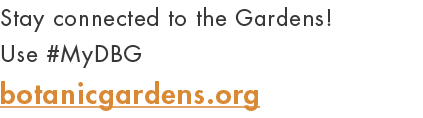 Stay connected to the Gardens! Use #MyDBG botanicgardens.org