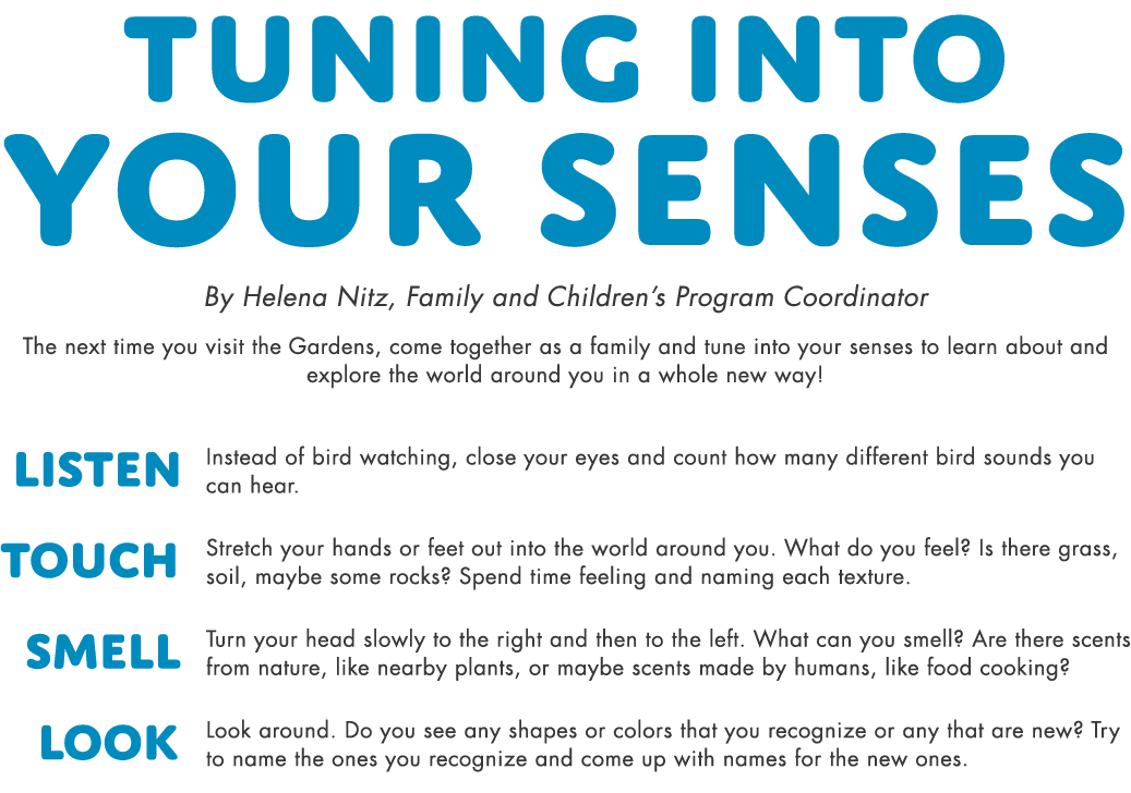 Tuning Into Your Senses By Helena Nitz, Family and Children’s Program Coordinator The next time you visit the Gardens...
