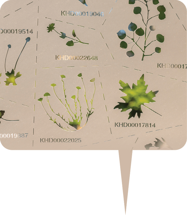 Leaf by  Jason Klimoski & Lesley Chang, Studio KCA, 2020