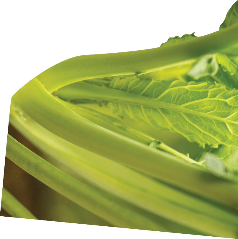 chatfield farms UFI growing and lavender garden vegetables for exhibits very hi res