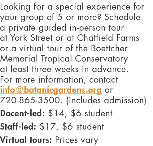 Looking for a special experience for your group of 5 or more  Schedule a private guided in-person tour at York Street   