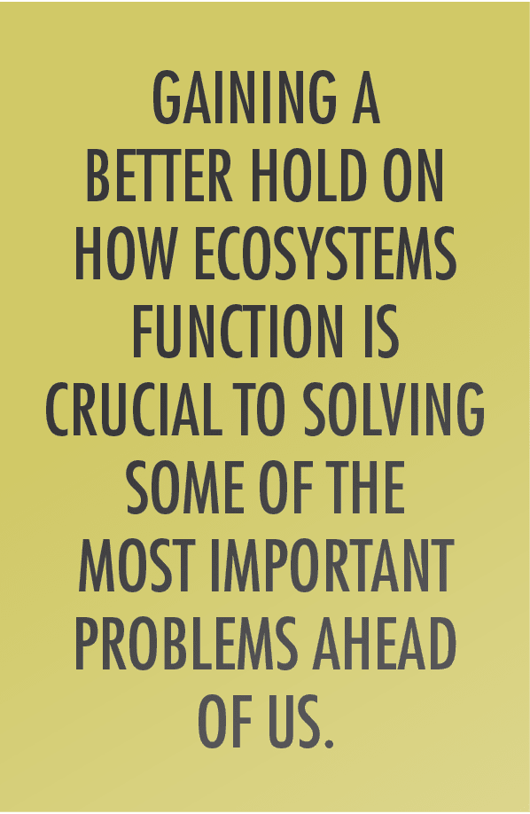 Gaining a better hold on how ecosystems function is crucial to solving some of the most important problems ahead of us 
