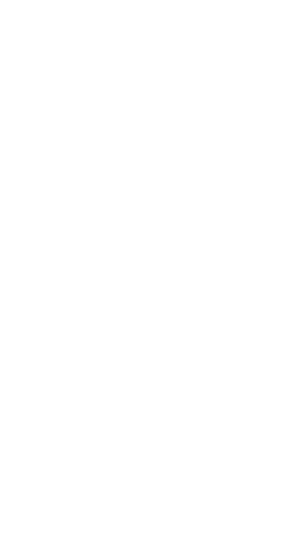 The Sturm Family Auditorium Enhancing Visitors  Experience By Claire Shepherd Lanier, Associate Director of Developme   