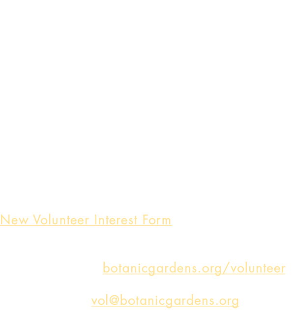 Ongoing Volunteers Needed The Volunteer Services Department is gearing up for a busy spring season – a perfect time t...
