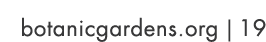 botanicgardens.org | 19