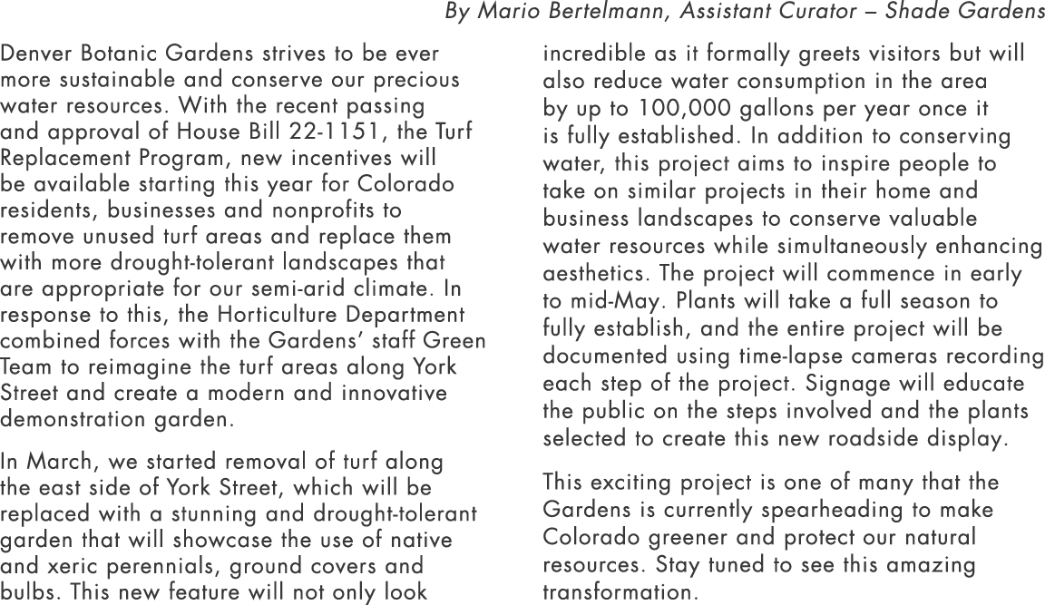 By Mario Bertelmann, Assistant Curator – Shade Gardens Denver Botanic Gardens strives to be ever more sustainable and...