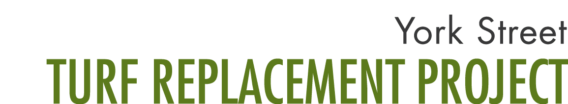 York Street Turf Replacement Project