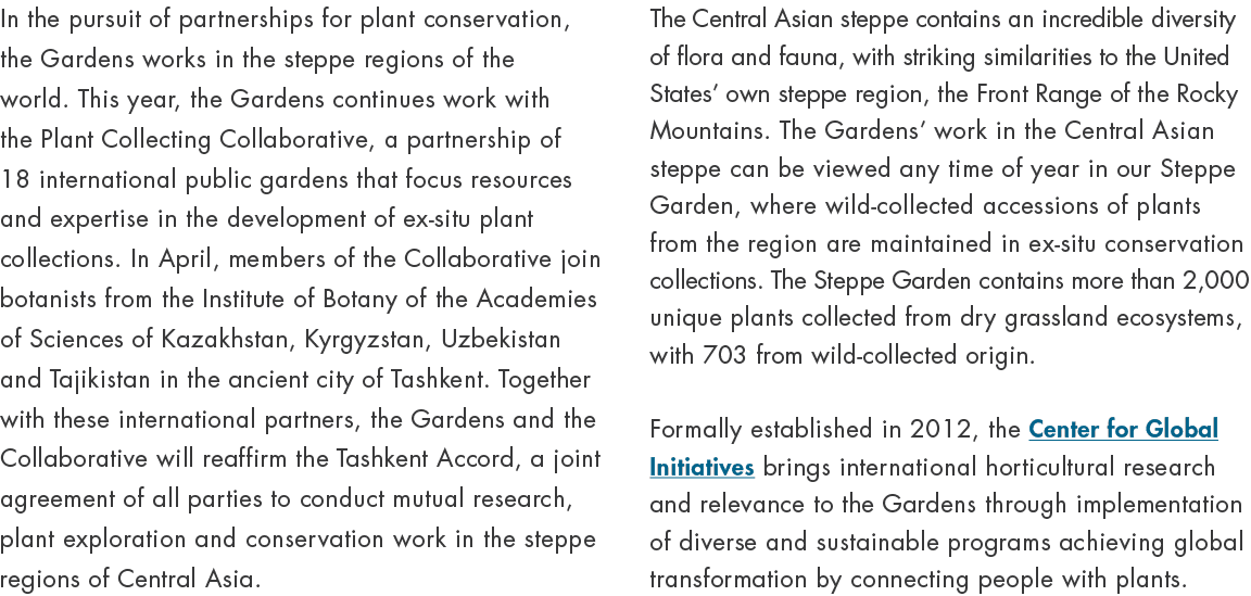 In the pursuit of partnerships for plant conservation, the Gardens works in the steppe regions of the world. This yea...