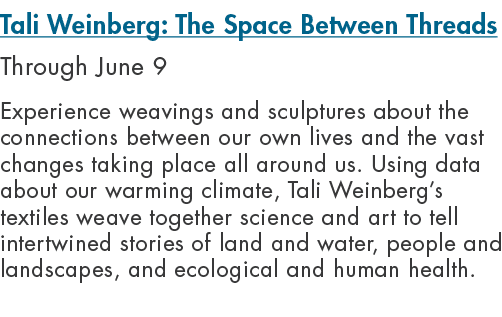 Tali Weinberg: The Space Between Threads Through June 9 Experience weavings and sculptures about the connections betw...