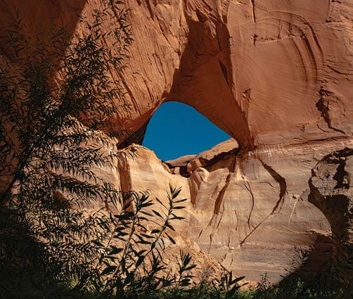 Willows head high frame La Gorce arch–a span of rock that, until recently, boaters would motor under.
