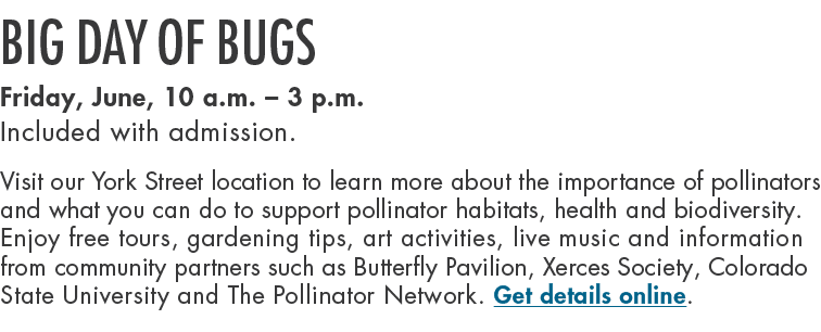 Big Day of Bugs Friday, June, 10 a.m. – 3 p.m. Included with admission. Visit our York Street location to learn more ...