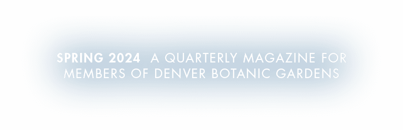Spring 2024 A Quarterly Magazine for members of denver botanic gardens