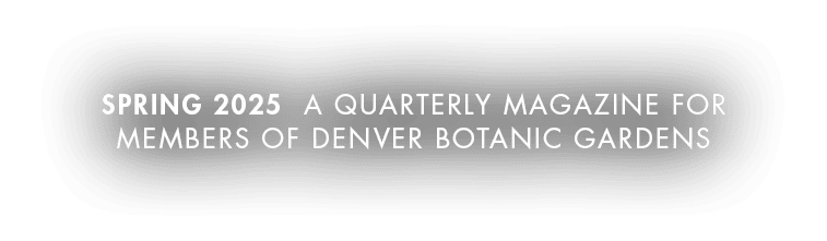 Spring 2025 A Quarterly Magazine for members of denver botanic gardens