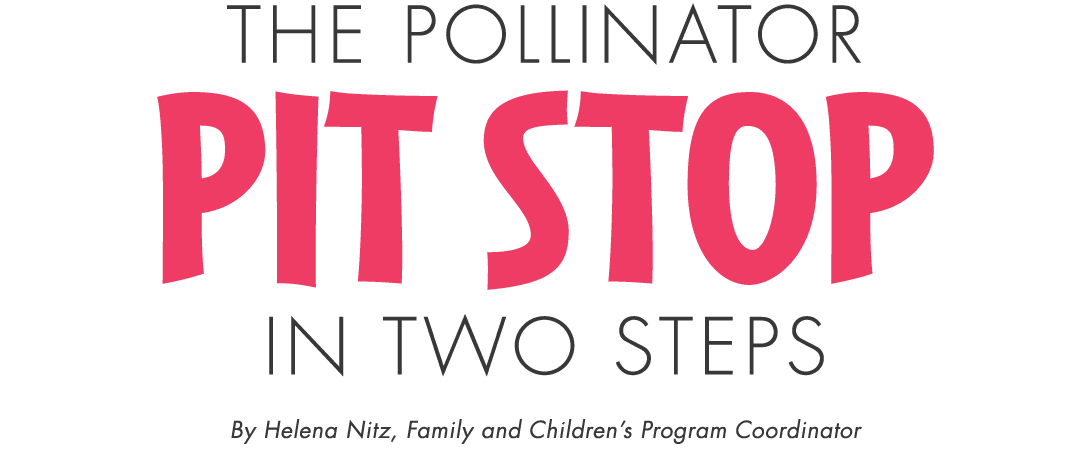 The Pollinator Pit Stop in Two Steps By Helena Nitz, Family and Children’s Program Coordinator 