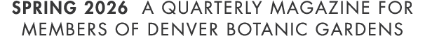 Spring 2026 A Quarterly Magazine for members of denver botanic gardens