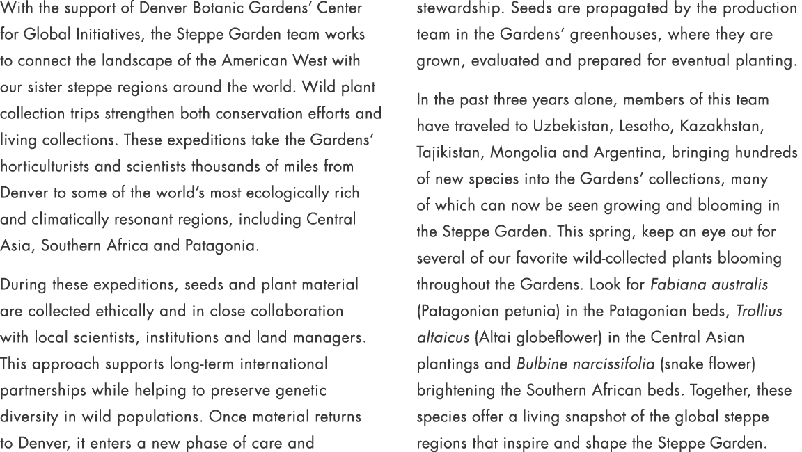 With the support of Denver Botanic Gardens’ Center for Global Initiatives, the Steppe Garden team works to connect th...