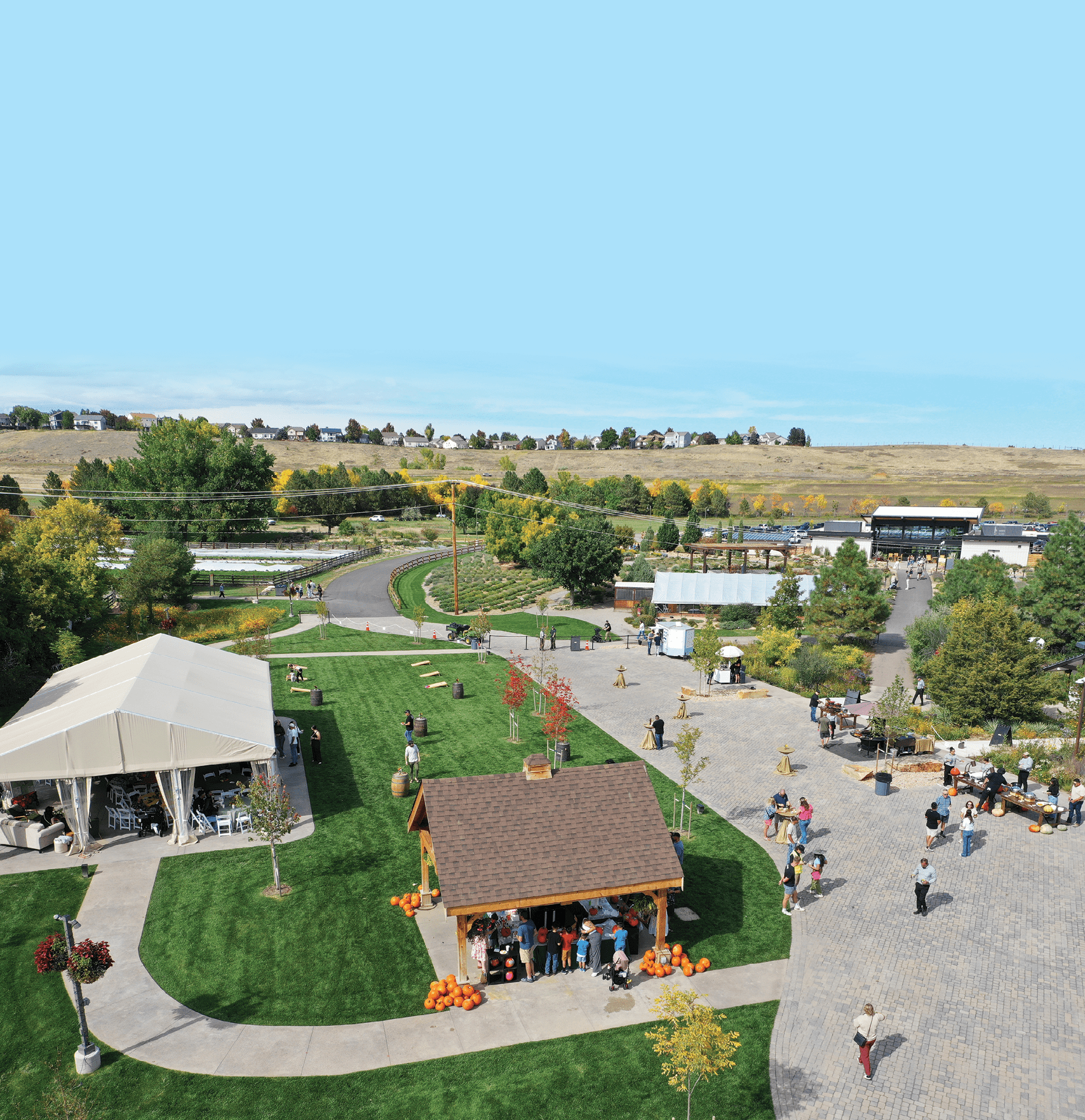 A group of people are walking around a park with a small building and a covered area. There are several benches and a dining table in the area. The park is surrounded by a grassy field and a few trees. AI generated content