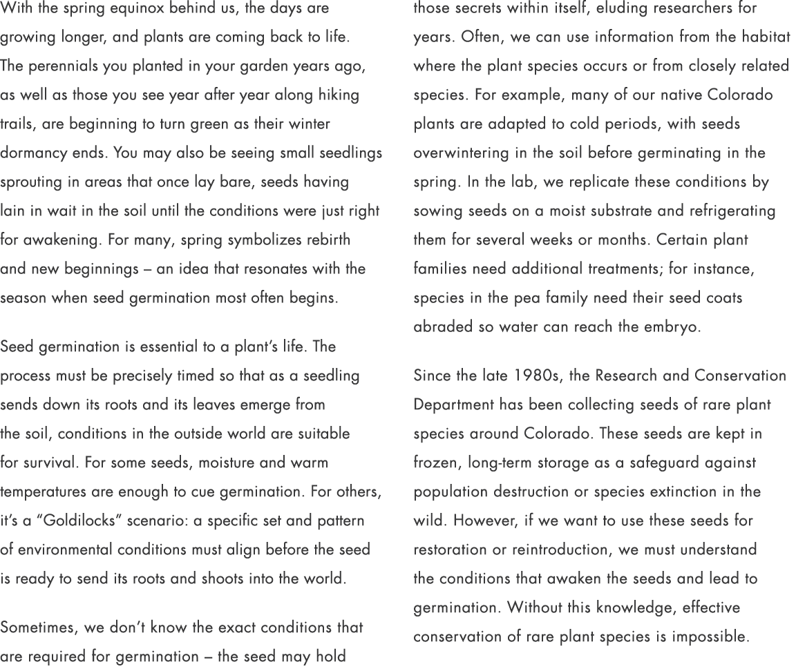 With the spring equinox behind us, the days are growing longer, and plants are coming back to life. The perennials yo...