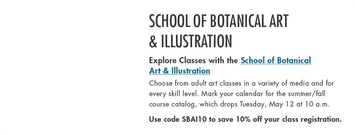 School of BotanicAl Art & Illustration Explore Classes with the School of Botanical Art & Illustration Choose from ad...