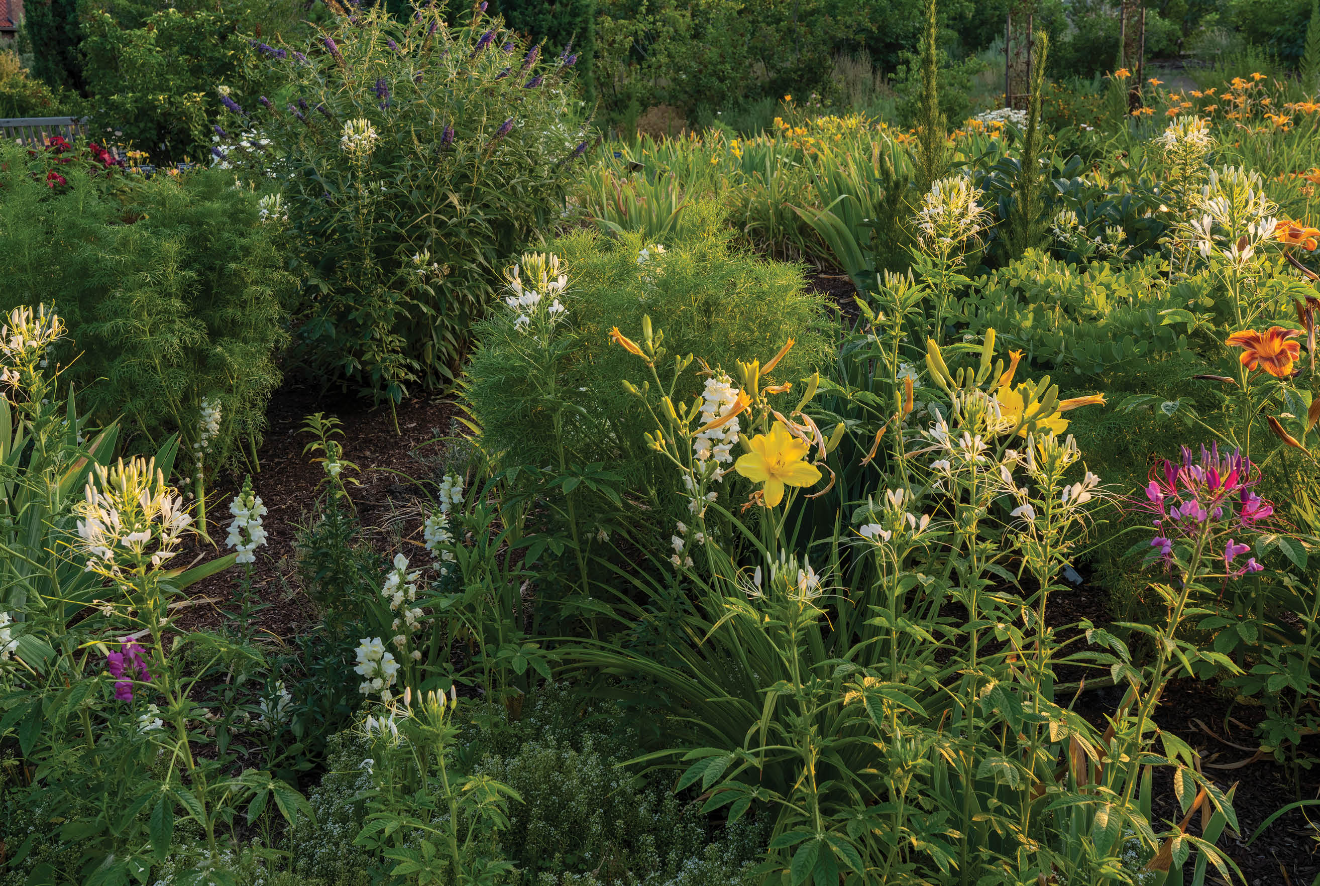 A garden with a variety of flowers and bushes, including a tree with a yellow flower. AI generated content