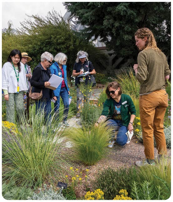A group of people are standing in a garden, looking at plants. A woman is kneeling down, examining a plant. AI generated content