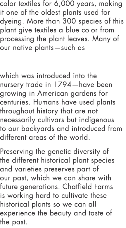 color textiles for 6,000 years, making it one of the oldest plants used for dyeing  More than 300 species of this pla   