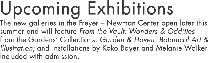 Upcoming Exhibitions The new galleries in the Freyer   Newman Center open later this summer and will feature From the   