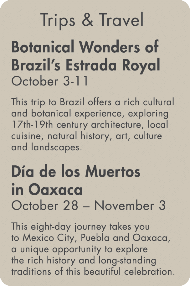 Trips & Travel Botanical Wonders of Brazil s Estrada Royal October 3-11 This trip to Brazil offers a rich cultural an   
